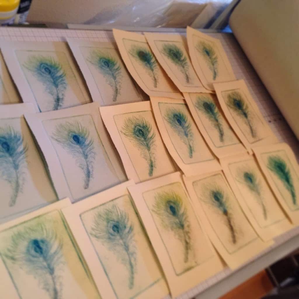 an edition of 25 drypoint etchings of peacock feathers, fresh from the printmaking studio, laying on the press bed