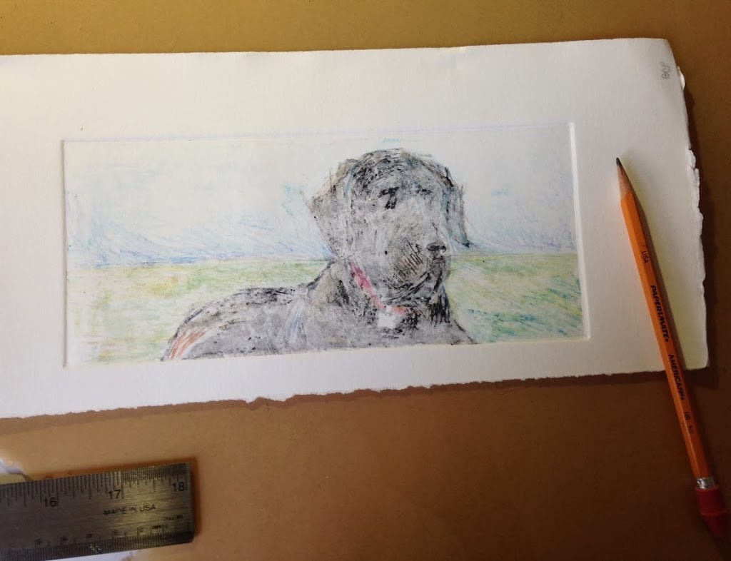 A faint outline of a great dane dog on paper with a pencil nearby, getting ready to add more saturated pigment to the art