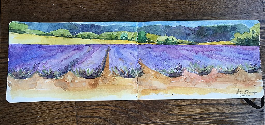 field-sketch-lavendin