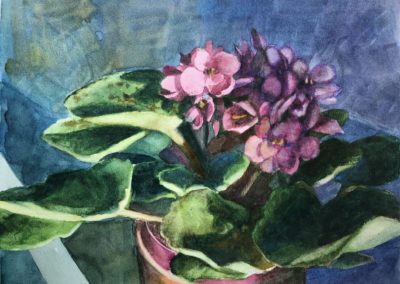 african violets painted in watercolor