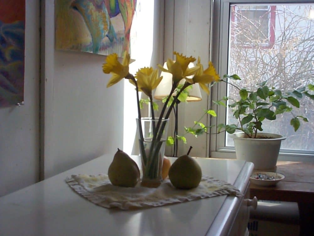 daffodils and pears in a still life arrangement for a watercolor