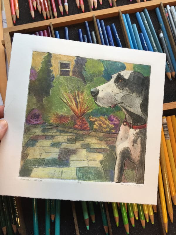 A color collagraph of a great dane dog in profile, with trays of colored pencils in the background