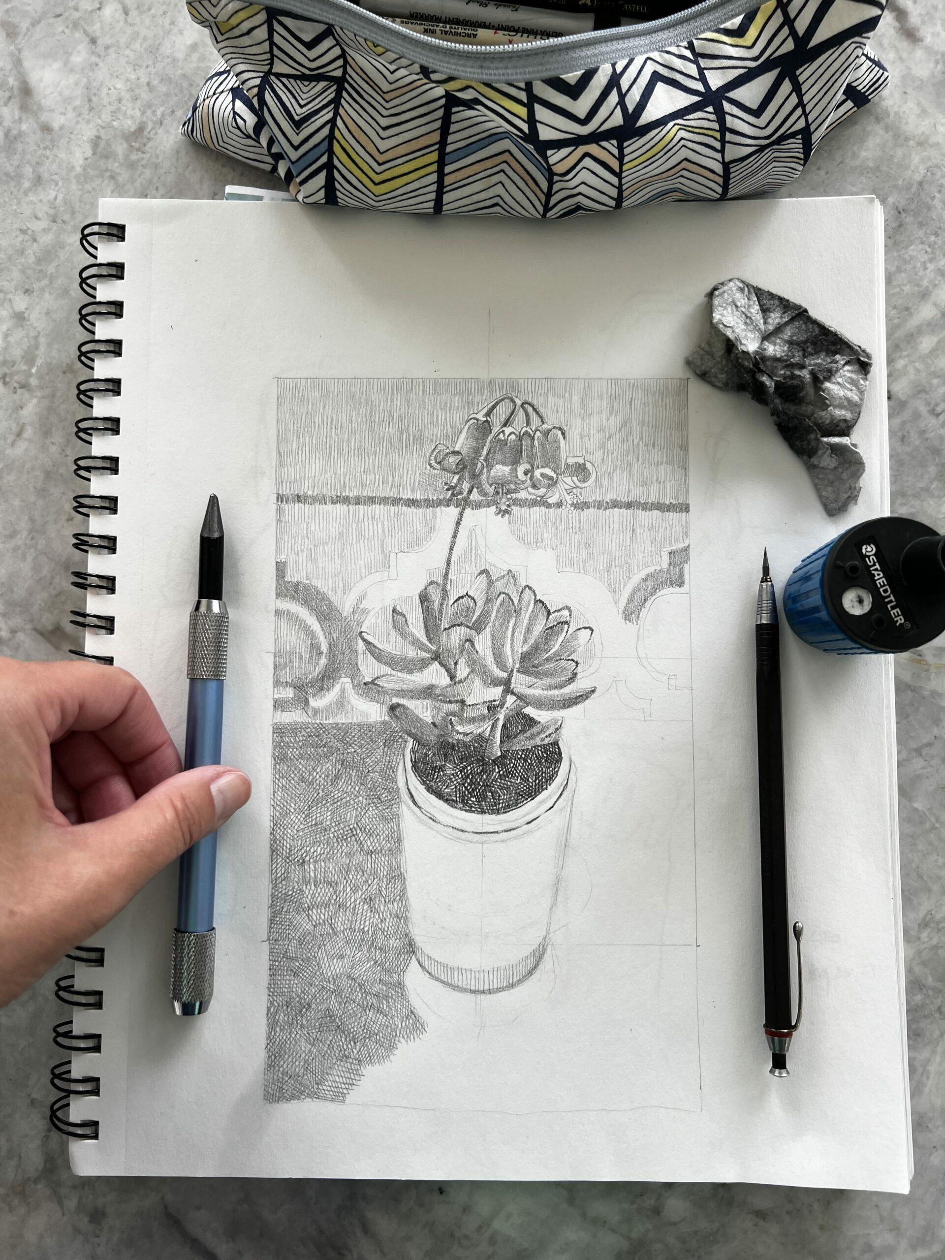A sketchbook with a partially finished pencil drawing of a potted succulent and the drawing pencils used to create it