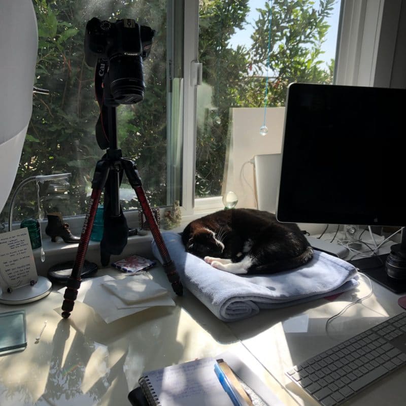 an art studio table with a computer monitor, a camera on a tripod and a sleeping cat