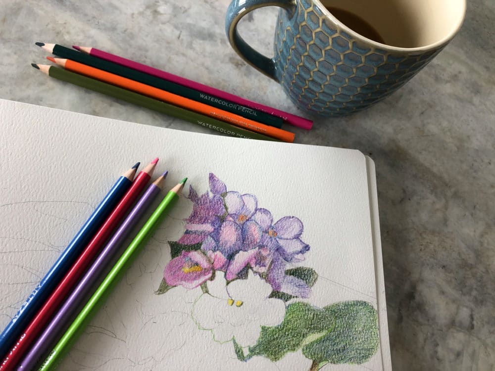 Watercolor Pencils on a floral still life