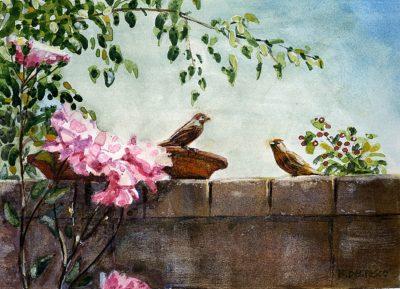 a block wall with birds eating from a flat bowl of seed and pink roses framing the scene painted in watercolor