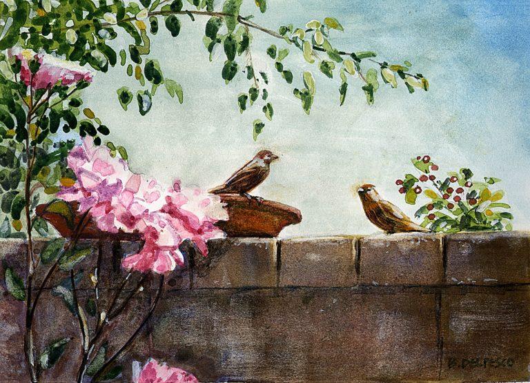 a block wall with birds eating from a flat bowl of seed and pink roses framing the scene painted in watercolor